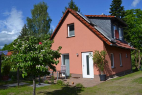 Aniger, Wustrow